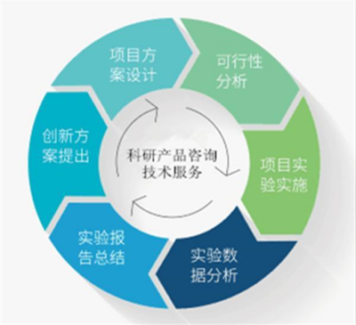 人半乳糖-3-O-磺基轉移酶2 功能、基因與臨床意義探析